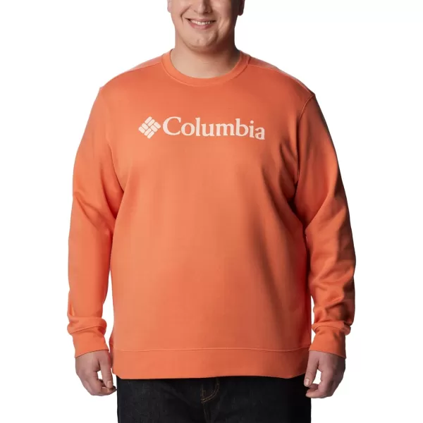 Columbia Men's Trek Crew
