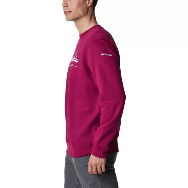 Columbia Men's Trek Crew