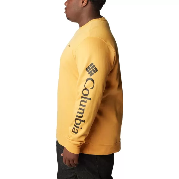 Columbia Men's Trek Crew
