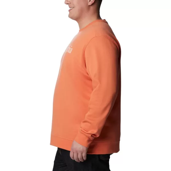 Columbia Men's Trek Crew