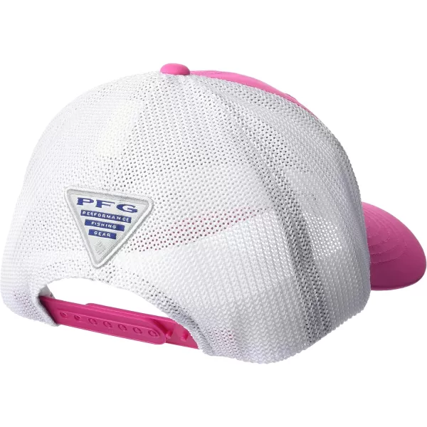 Columbia PFG Logo 110 Snap Back