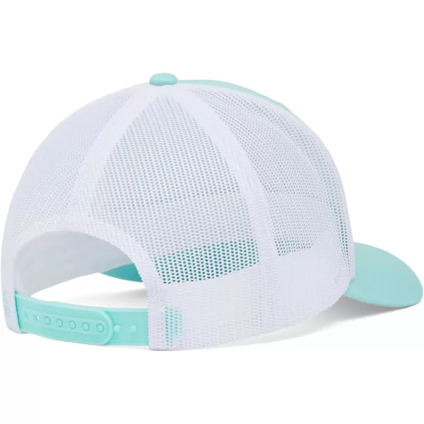 Columbia PFG Patch Mesh Snap Back