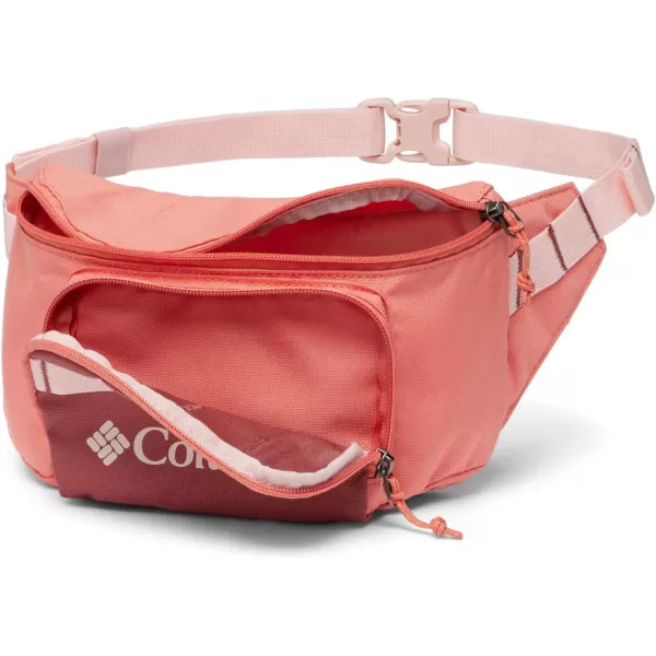 Columbia Unisex Zigzag Hip Pack