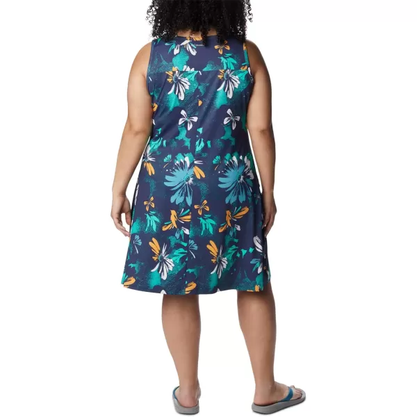 Columbia Women's Chill River Printed Dress