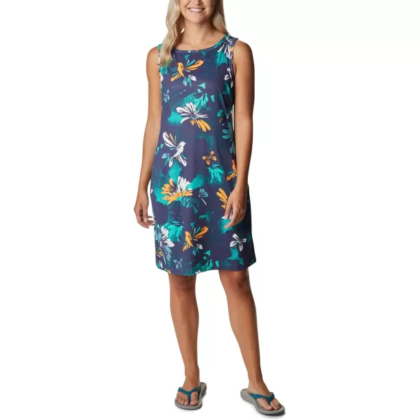 Columbia Women's Chill River Printed Dress