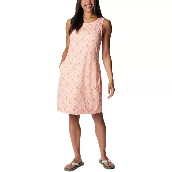 Columbia Women's Chill River Printed Dress