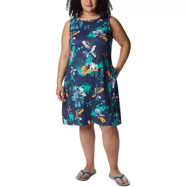Columbia Women's Chill River Printed Dress