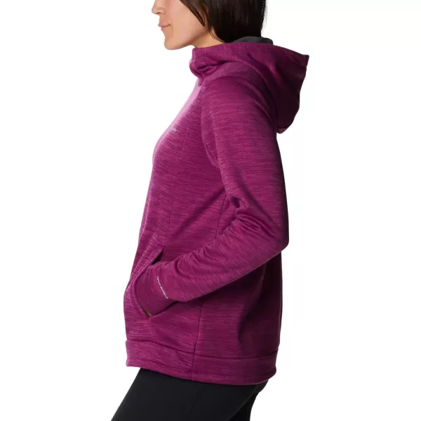 Columbia Women's Claudia Ridge Fleece