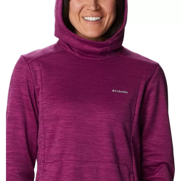 Columbia Women's Claudia Ridge Fleece