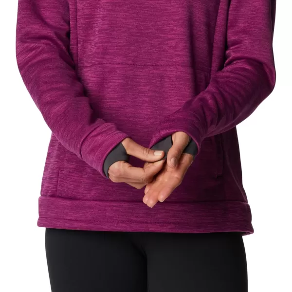 Columbia Women's Claudia Ridge Fleece
