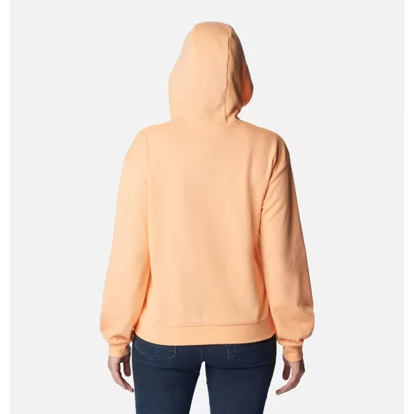 Columbia Women's Logo Iii French Terry Hoodie