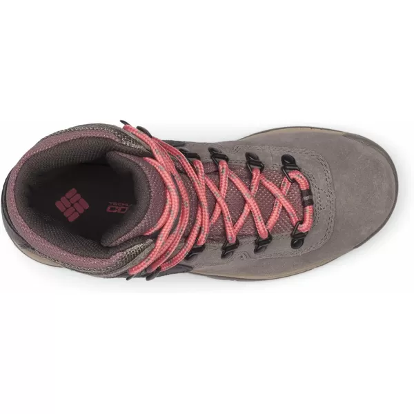Columbia Women's Newton Ridge Plus Waterproof Amped Hiking Boot