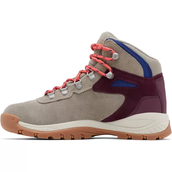 Columbia Women's Newton Ridge Plus Waterproof Amped Hiking Boot