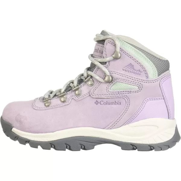 Columbia Women's Newton Ridge Plus Waterproof Amped Hiking Boot