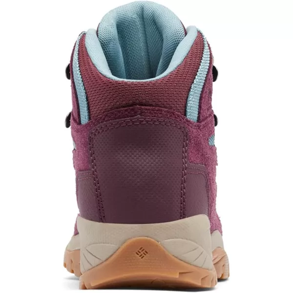 Columbia Women's Newton Ridge Plus Waterproof Amped Hiking Boot