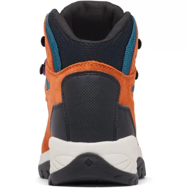 Columbia Women's Newton Ridge Plus Waterproof Amped Hiking Boot