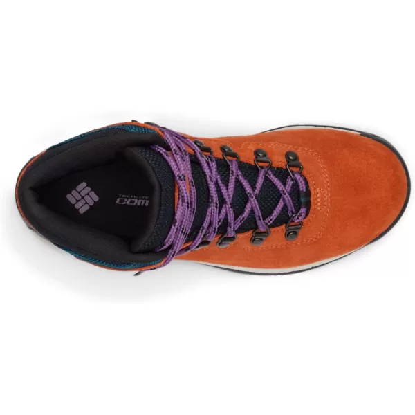 Columbia Women's Newton Ridge Plus Waterproof Amped Hiking Boot