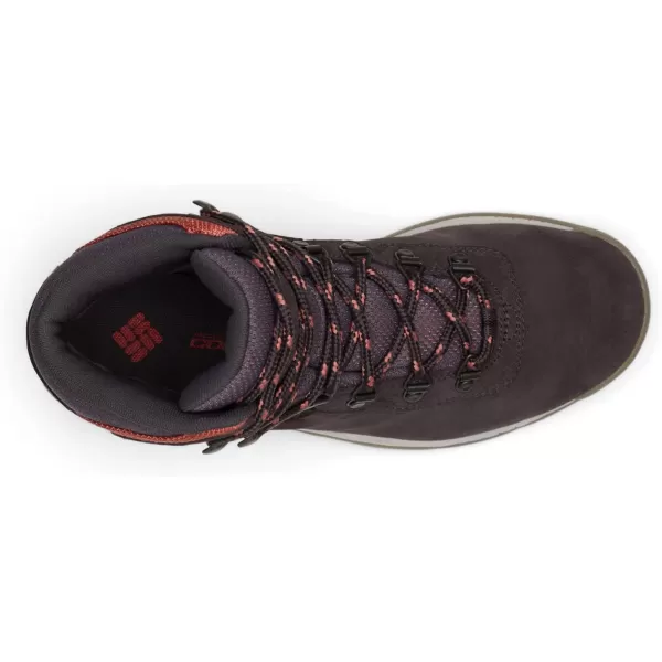 Columbia Women's Newton Ridge Plus Waterproof Amped Hiking Boot
