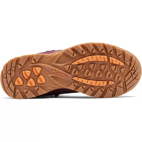 Columbia Women's Newton Ridge Plus Waterproof Amped Hiking Boot