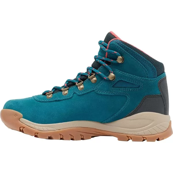 Columbia Women's Newton Ridge Plus Waterproof Amped Hiking Boot