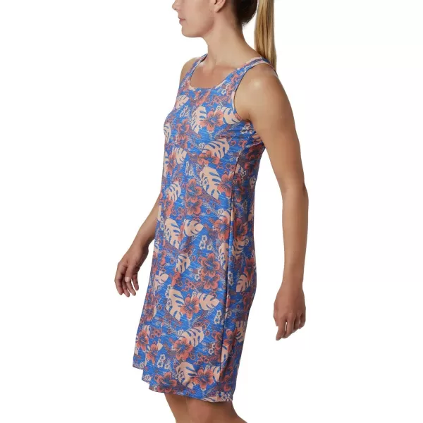 Columbia Women's PFG Freezer III Dress