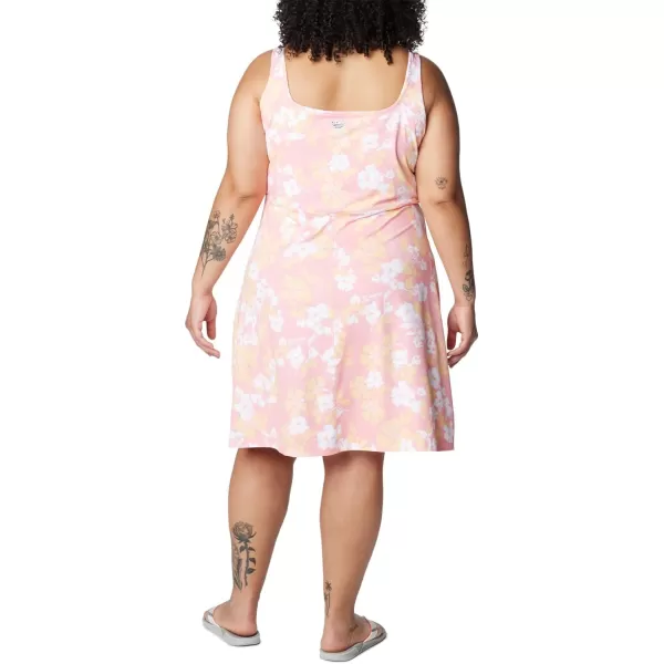 Columbia Women's PFG Freezer III Dress