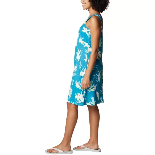 Columbia Women's PFG Freezer III Dress