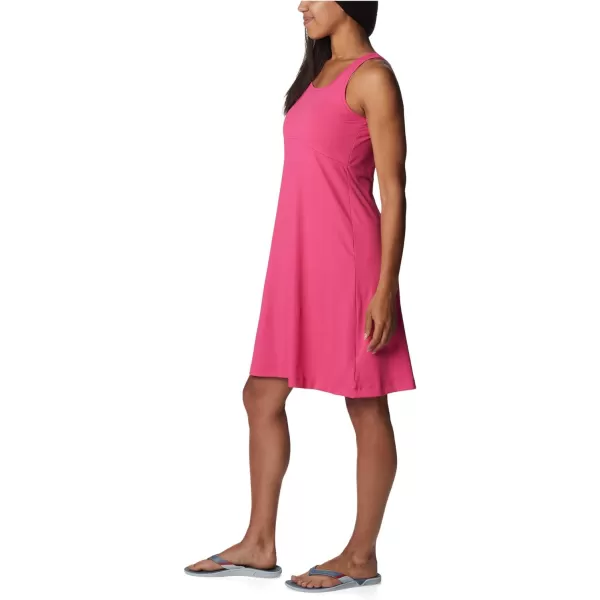 Columbia Women's PFG Freezer III Dress
