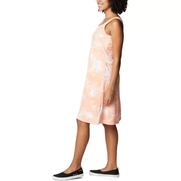 Columbia Women's PFG Freezer III Dress