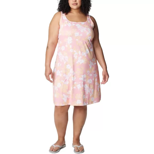 Columbia Women's PFG Freezer III Dress