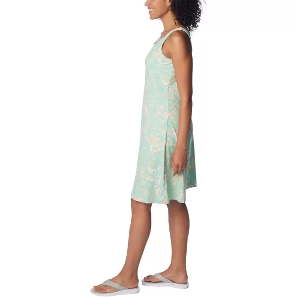 Columbia Women's PFG Freezer III Dress