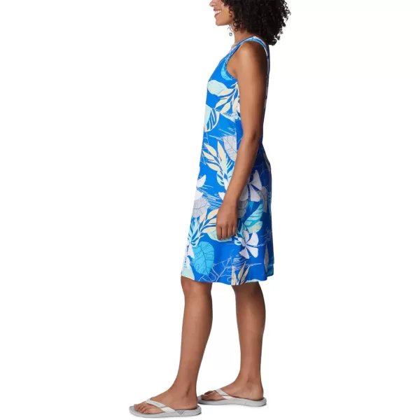 Columbia Women's PFG Freezer III Dress