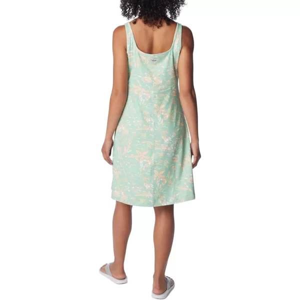 Columbia Women's PFG Freezer III Dress