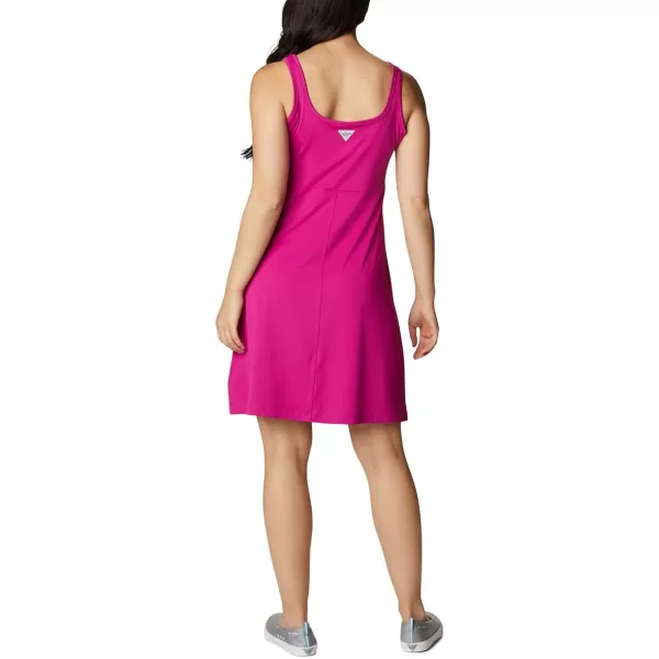 Columbia Women's PFG Freezer III Dress
