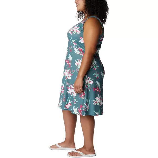 Columbia Women's PFG Freezer III Dress