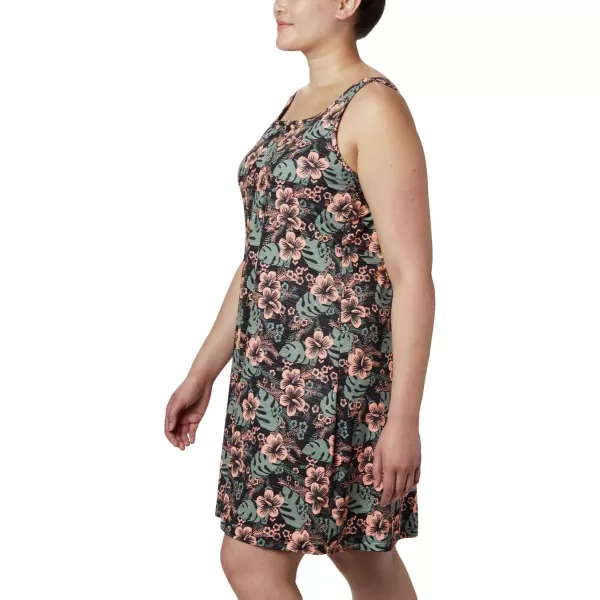 Columbia Women's PFG Freezer III Dress