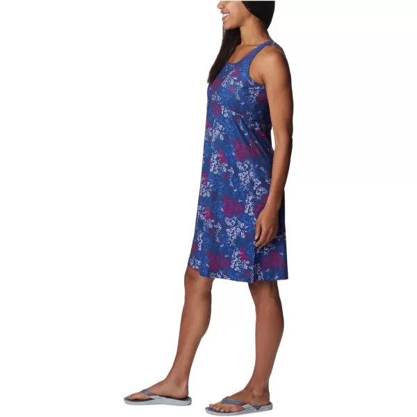 Columbia Women's PFG Freezer III Dress