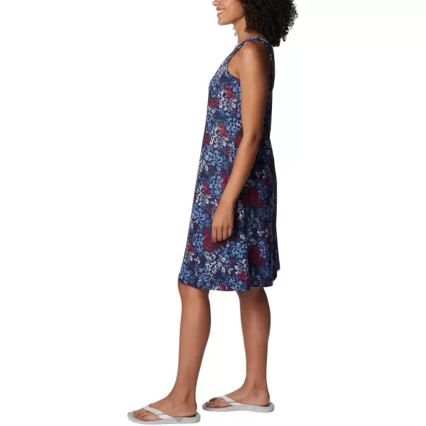 Columbia Women's PFG Freezer III Dress