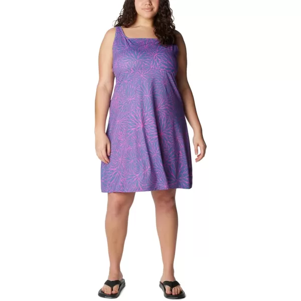 Columbia Women's PFG Freezer III Dress