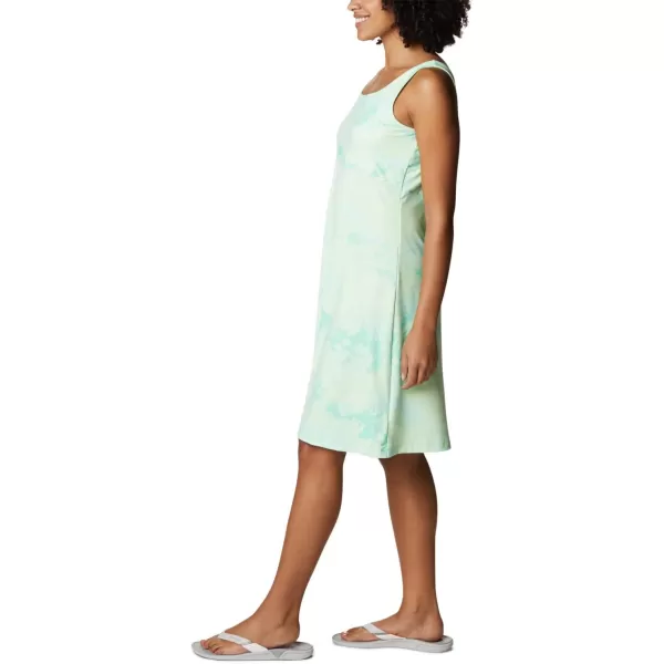 Columbia Women's PFG Freezer III Dress