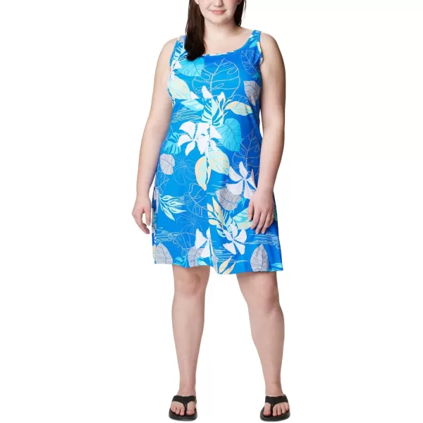Columbia Women's PFG Freezer III Dress