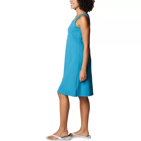 Columbia Women's PFG Freezer III Dress