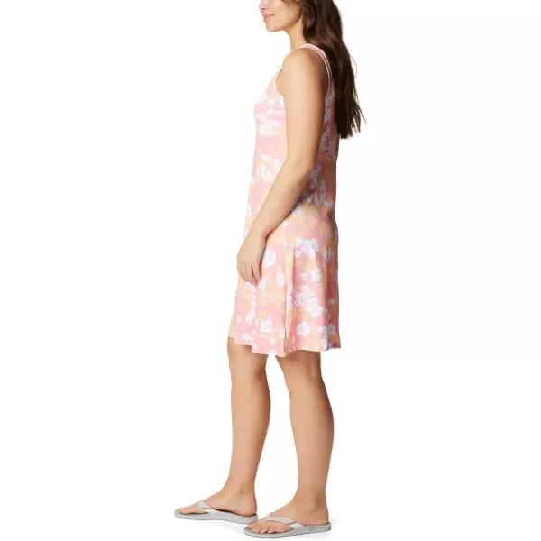 Columbia Women's PFG Freezer III Dress