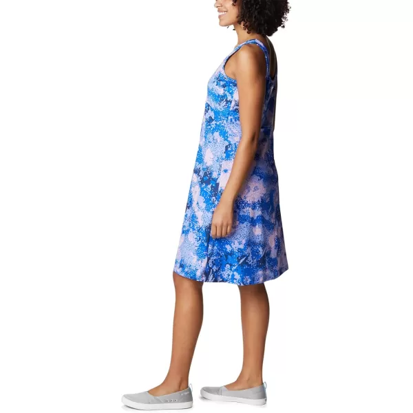 Columbia Women's PFG Freezer III Dress