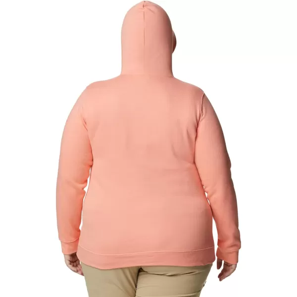 Columbia Women's Trek Graphic Hoodie