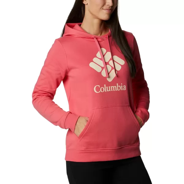Columbia Women's Trek Graphic Hoodie