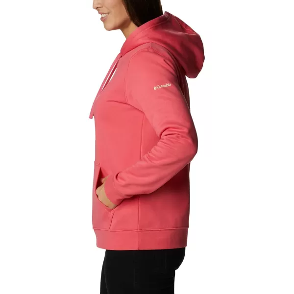 Columbia Women's Trek Graphic Hoodie