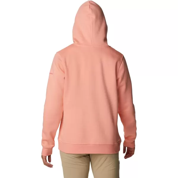 Columbia Women's Trek Graphic Hoodie