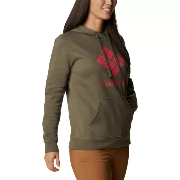 Columbia Women's Trek Graphic Hoodie