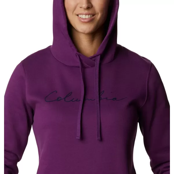 Columbia Women's Trek Graphic Hoodie